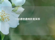 一花德信德州扑克买币