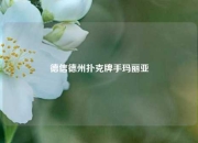 德信德州扑克牌手玛丽亚