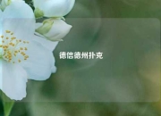 德信德州扑克