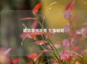 德信德州扑克 七张梭哈