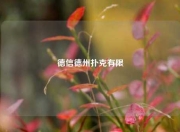 德信德州扑克有限