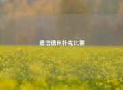 德信德州扑克比赛