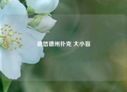 德信德州扑克 大小盲