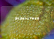 德信德州扑克不用手牌