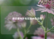 德信德州扑克在国内合法性