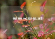 德信德州扑克国外美女玩家