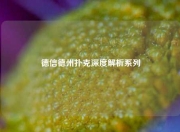 德信德州扑克深度解析系列