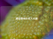 德信德州扑克人人版