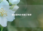 德信德州扑克输了很多