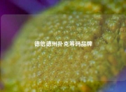 德信德州扑克筹码品牌