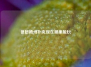德信德州扑克现在哪里能玩