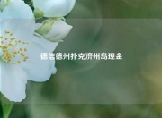 德信德州扑克济州岛现金