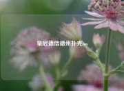 皇冠德信德州扑克ios