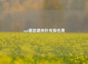 wpt德信德州扑克报名费