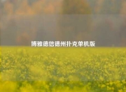博雅德信德州扑克单机版