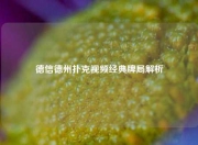 德信德州扑克视频经典牌局解析