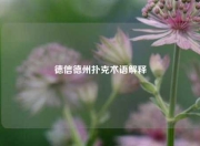 德信德州扑克术语解释