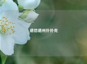 德信德州扑扑克