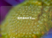 德信德州扑克qpp