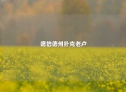 德信德州扑克老卢