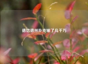 德信德州扑克输了几千万
