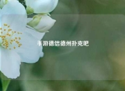 手游德信德州扑克吧
