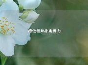 德信德州扑克牌力