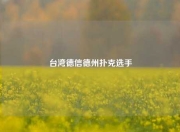 台湾德信德州扑克选手