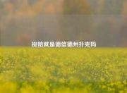 梭哈就是德信德州扑克吗