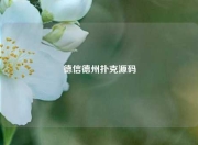 德信德州扑克源码