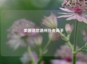 美国德信德州扑克高手