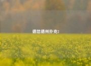 德信德州扑克2
