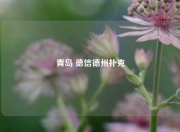 青岛 德信德州扑克