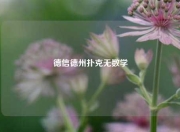 德信德州扑克无数学