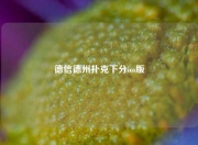 德信德州扑克下分ios版