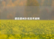 德信德州扑克技术视频