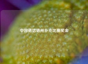 中国德信德州扑克比赛奖金