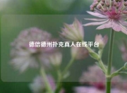 德信德州扑克真人在线平台