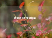 德信德州扑克国内第一