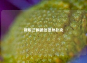 新版云顶德信德州扑克