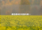 德信德州扑克国内第一