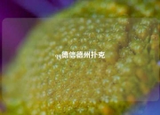 qq德信德州扑克