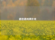 德信德州牌扑克