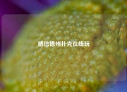 德信德州扑克在线玩