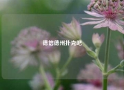 德信德州扑克吧