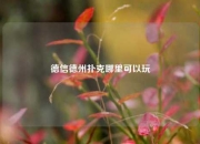 德信德州扑克哪里可以玩