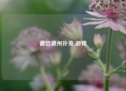 德信德州扑克 游戏