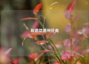 新德信德州扑克