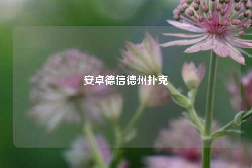 安卓德信德州扑克