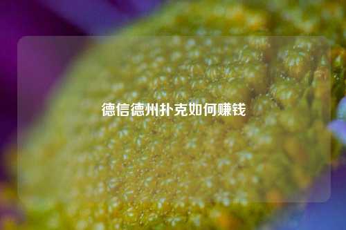 德信德州扑克如何赚钱